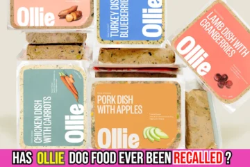 has-ollie-dog-food-ever-been-recalled-image
