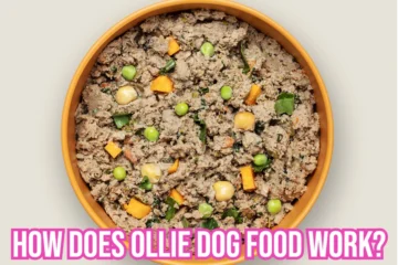 how-does-ollie-dog-food-work