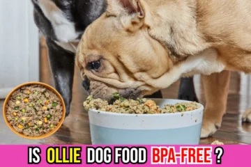 is-ollie-dog-food-bpa-free-image