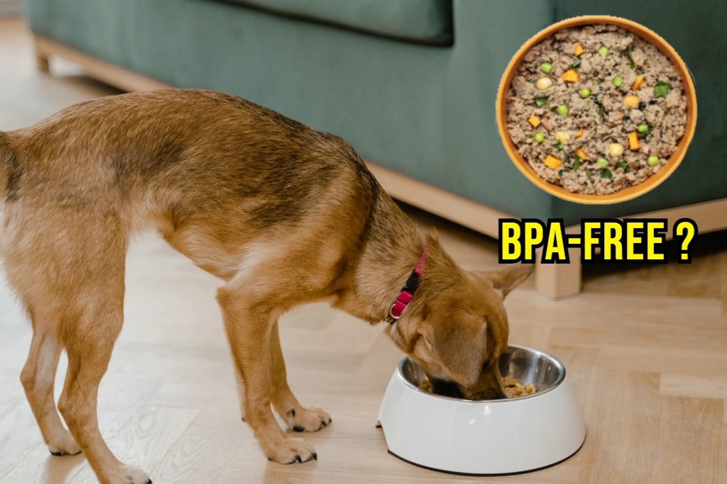 ollie-dog-food-bpa-free