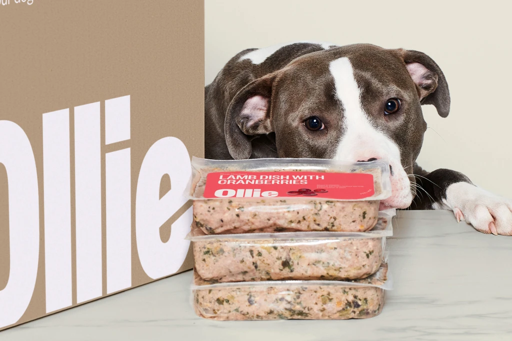 ollie-dog-food