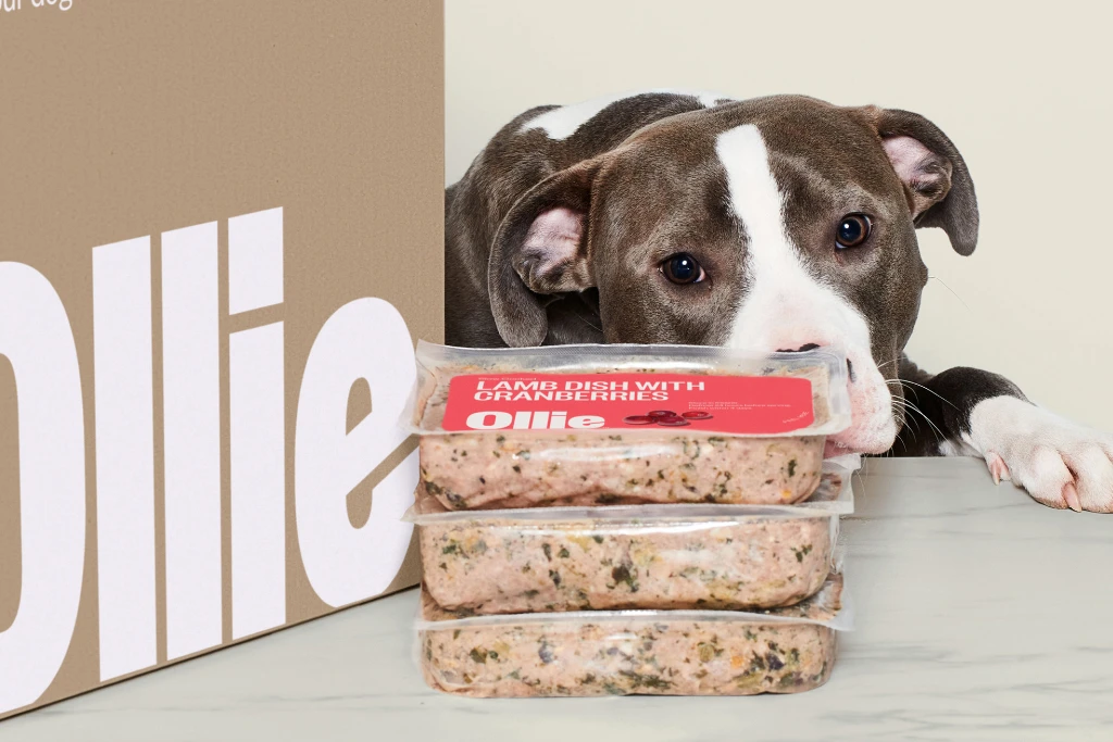 Ollie Dog Food Serving 101 Feeding Guide For Pet Owners