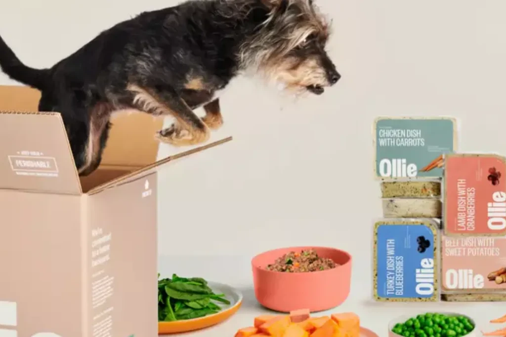 ollie-dog-food-the-story-of-trust-and-quality
