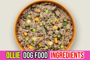 ollie-dog-food-ingredients