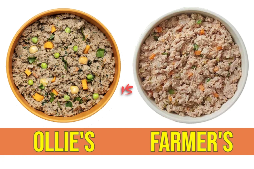 ollie-dog-food-vs-farmers-dog-food-comparison-image