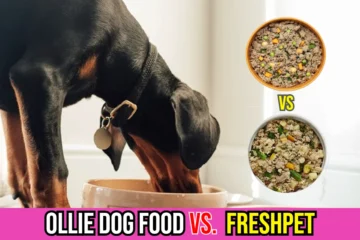 ollie-dog-food-vs-freshpet-complete-review-comparison-image
