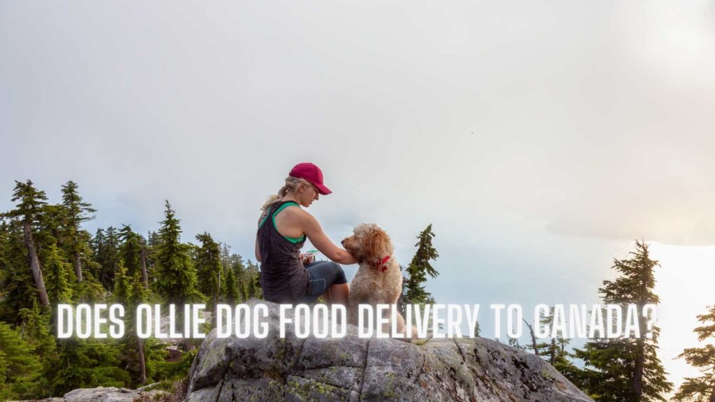 Does Ollie Dog Food Delivery to Canada
