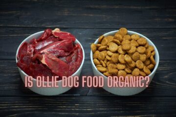 Is Ollie DOg Food Organic