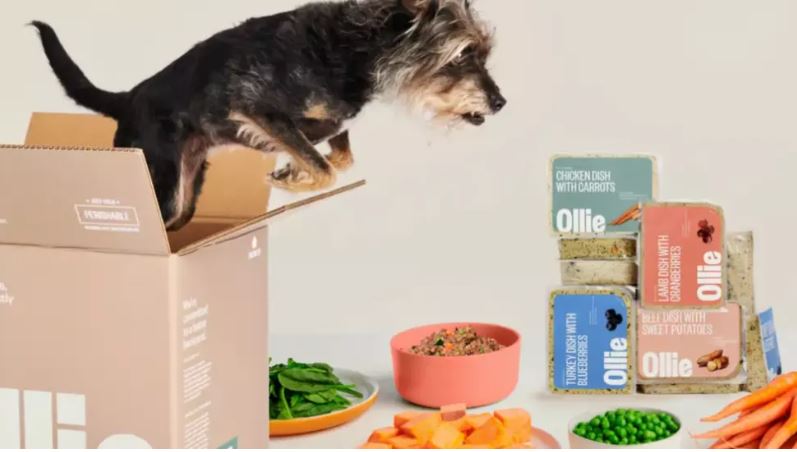 Ollie Dog Food image