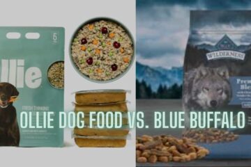 Ollie Dog Food vs. Blue Buffalo