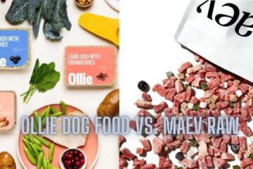 Ollie Dog Food vs. Maev Raw
