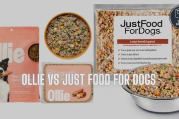 Ollie vs Just Food for Dogs