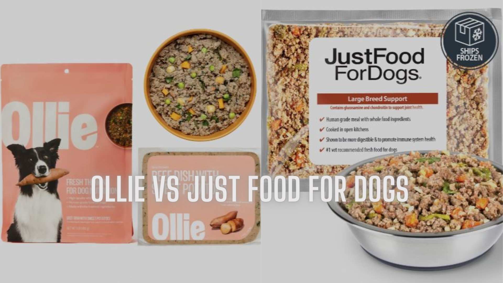 Ollie vs Just Food for Dogs - Ollie Dog Food USA