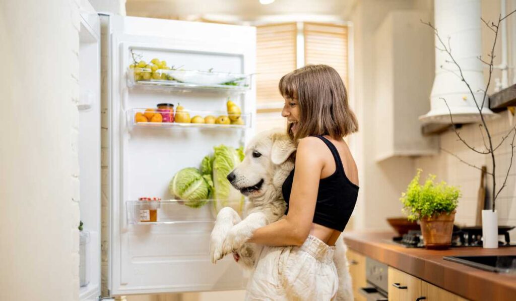 Refrigerator and Dog