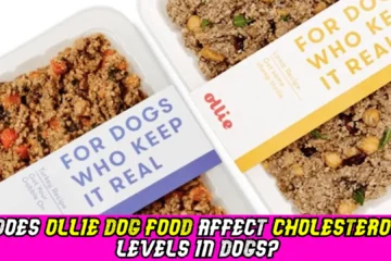 does-ollie-dog-food-affect-cholesterol-levels-in-dogs