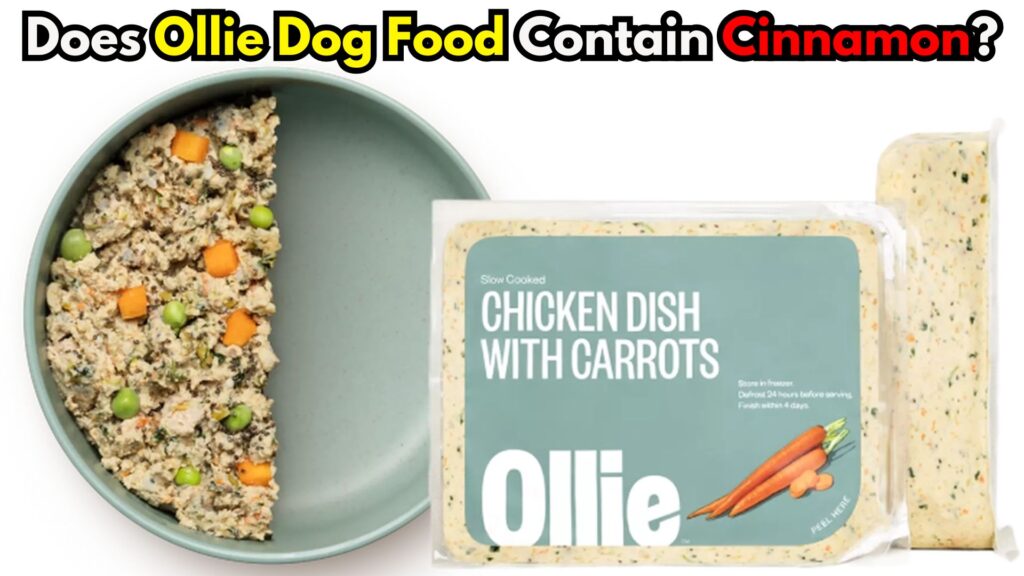 does-ollie-dog-food-contain-cinnamon