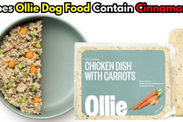 does-ollie-dog-food-contain-cinnamon