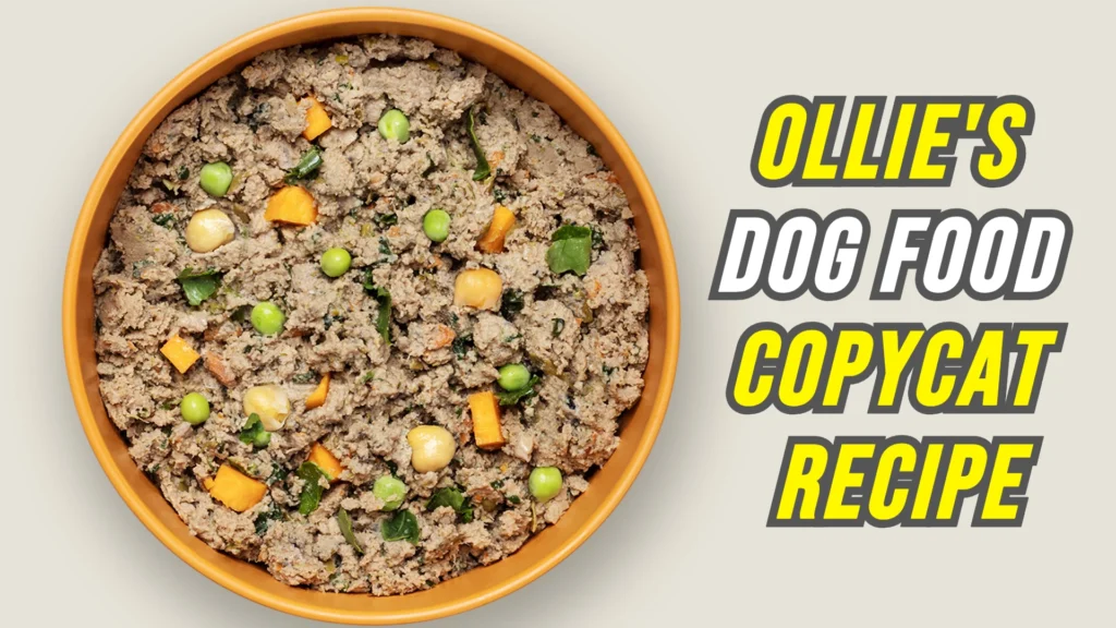ollie-dog-food-copycat-recipe-image