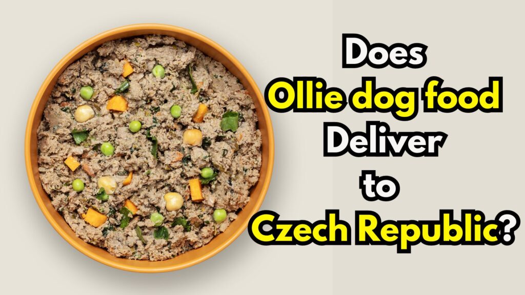 does-Ollie-dog-food-deliver-to-Czech-Republic