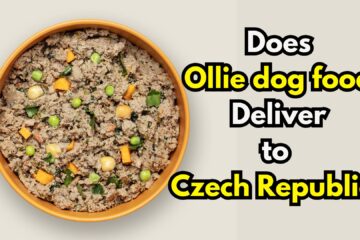 does-Ollie-dog-food-deliver-to-Czech-Republic