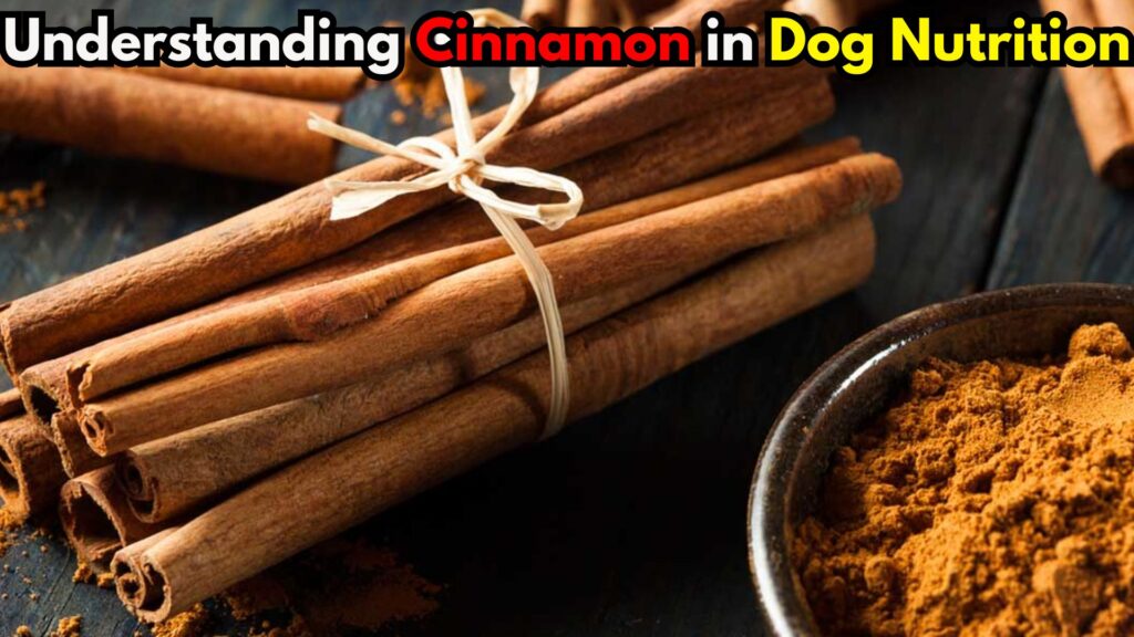 understanding-cinnamon-in-dog-nutrition