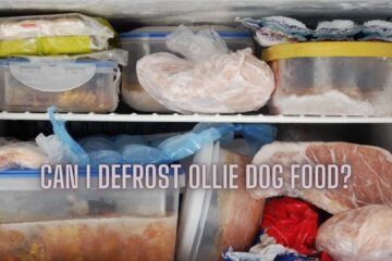 Can I Defrost Ollie Dog Food