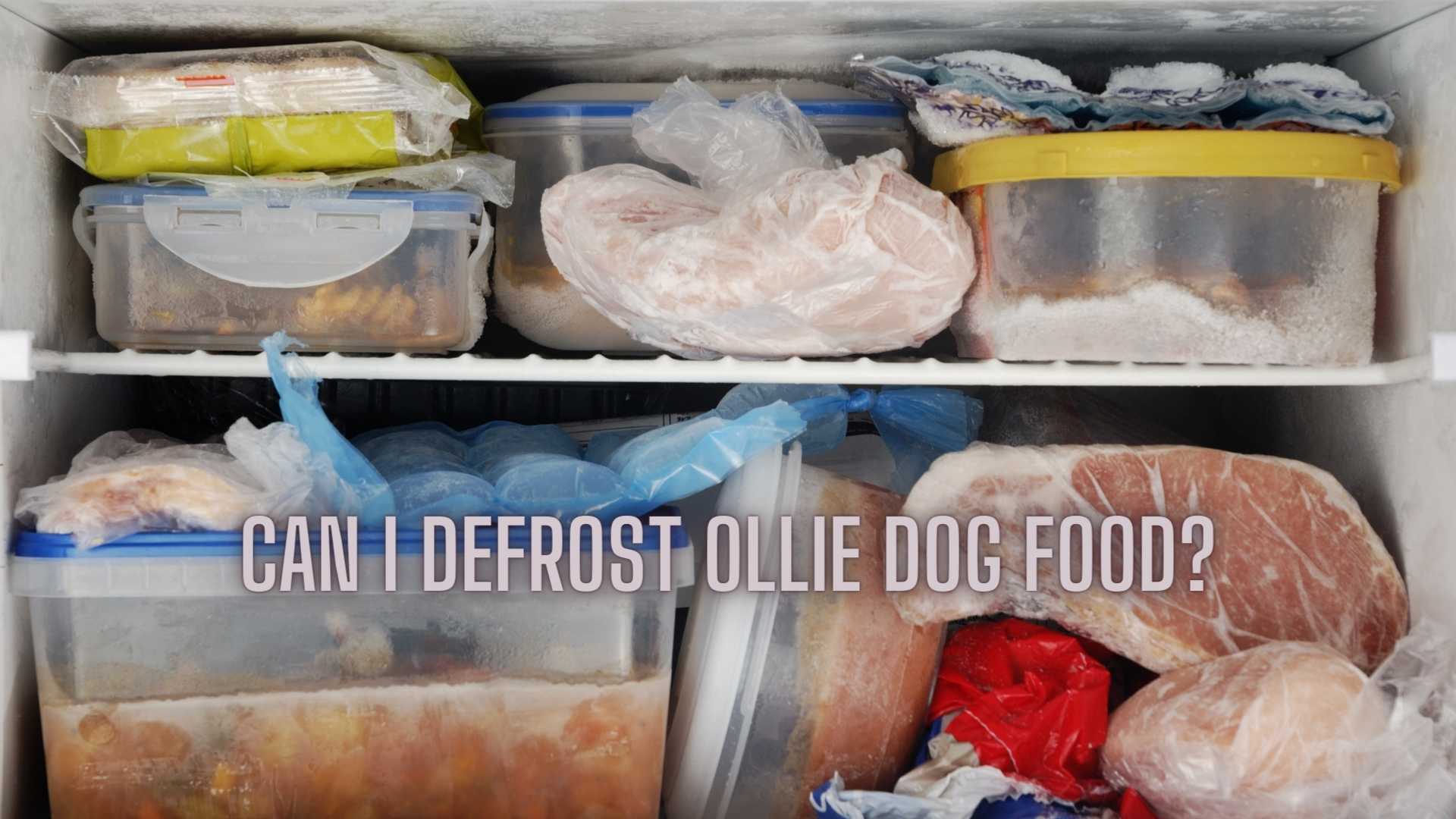 Can I Defrost Ollie Dog Food? Ollie Dog Food USA