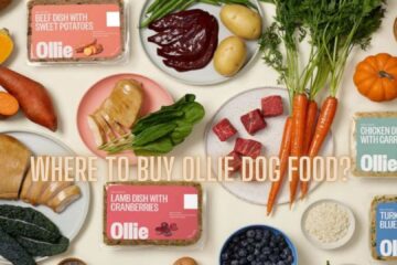 Where to Buy Ollie Dog Food