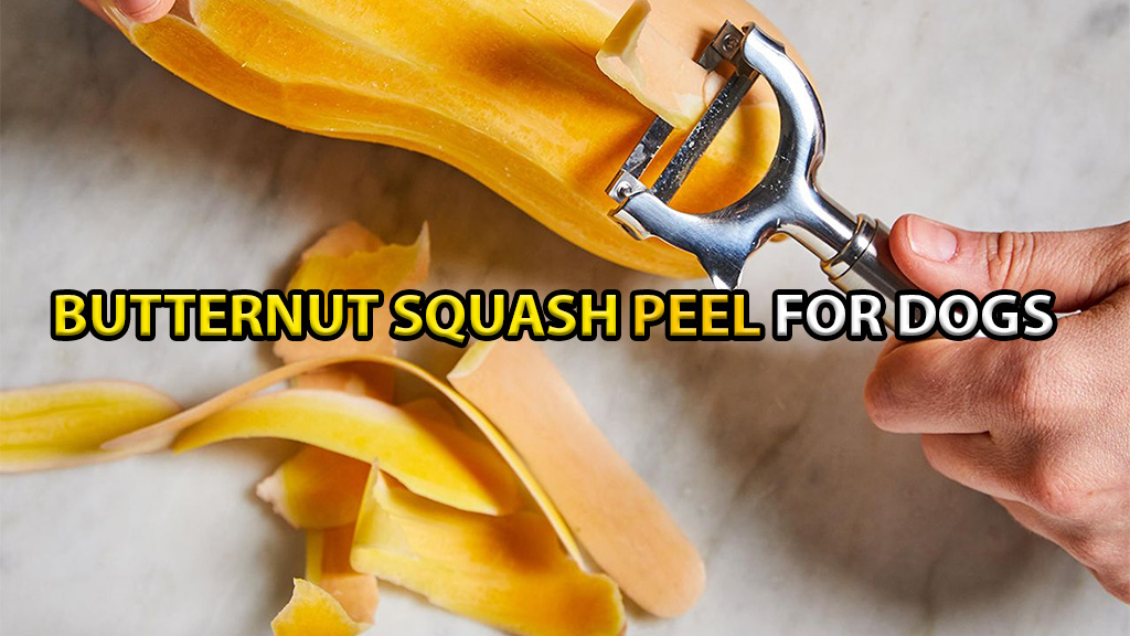 butternut-squash-peel-for-dogs
