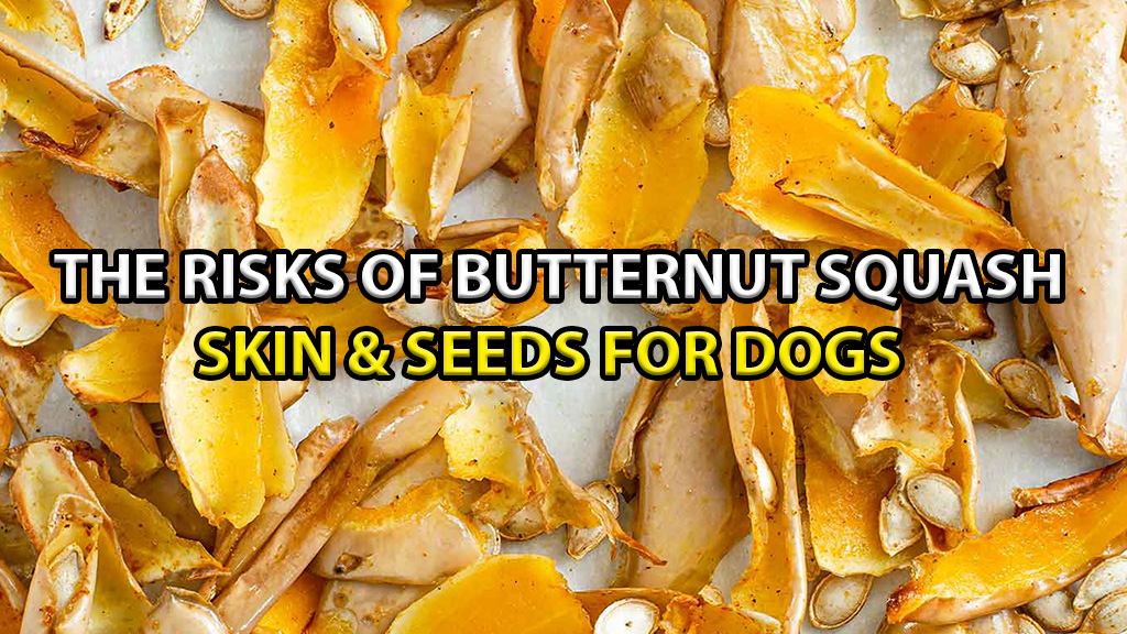 butternut-squash-seeds-and-skin-risks-for-dogs
