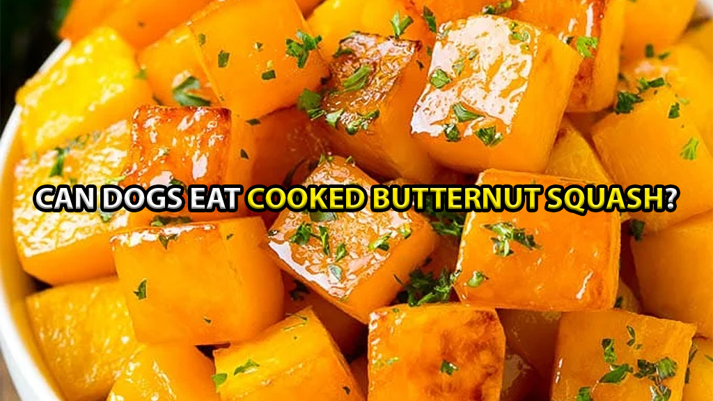 can-dogs-eat-cooked-butternut-squash
