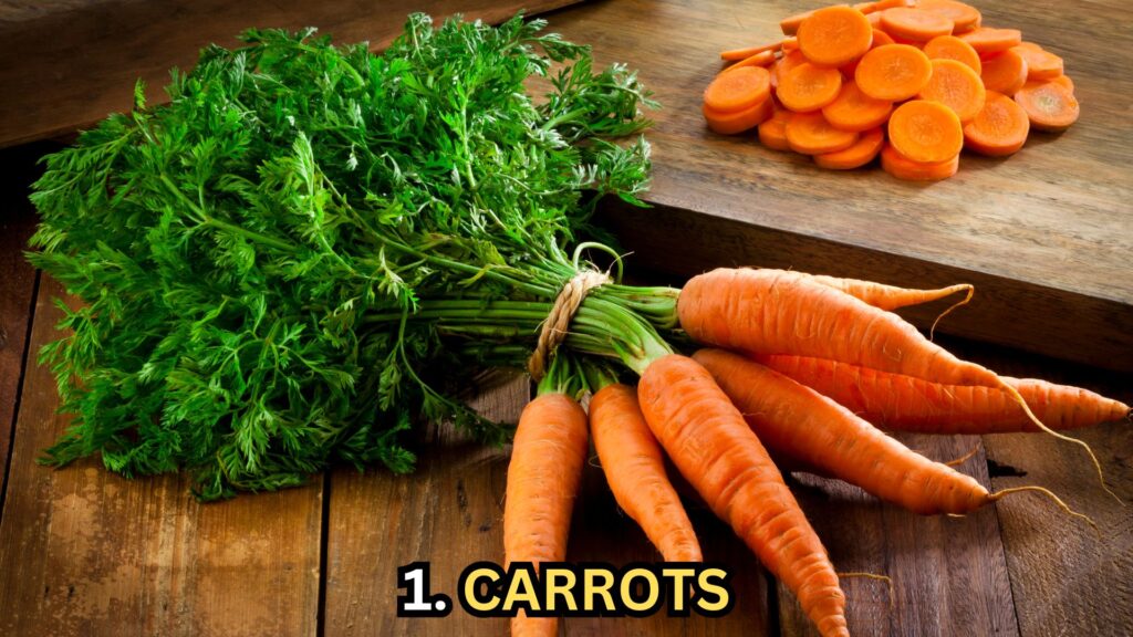 carrots-for-dogs
