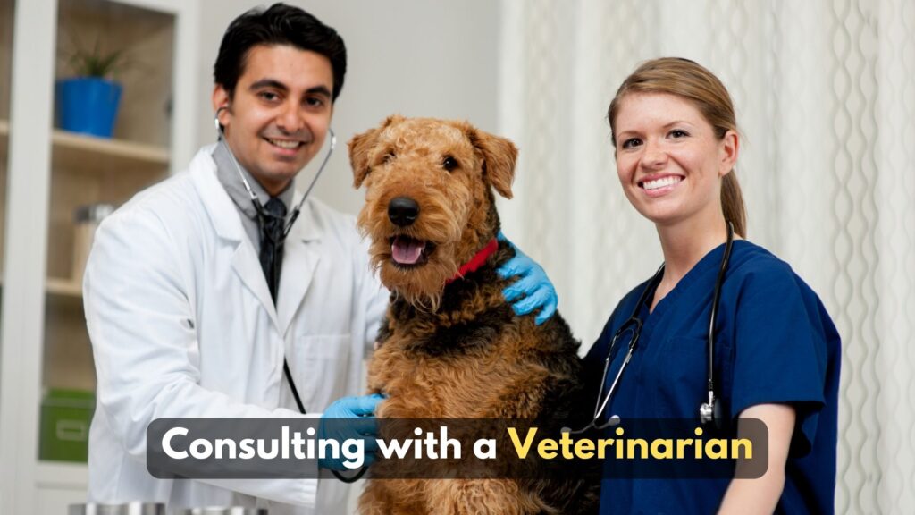 consulting-with-a-veterinarian