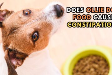 does-ollie-dog-food-cause-constipation-and-digestive-issues-in-canines