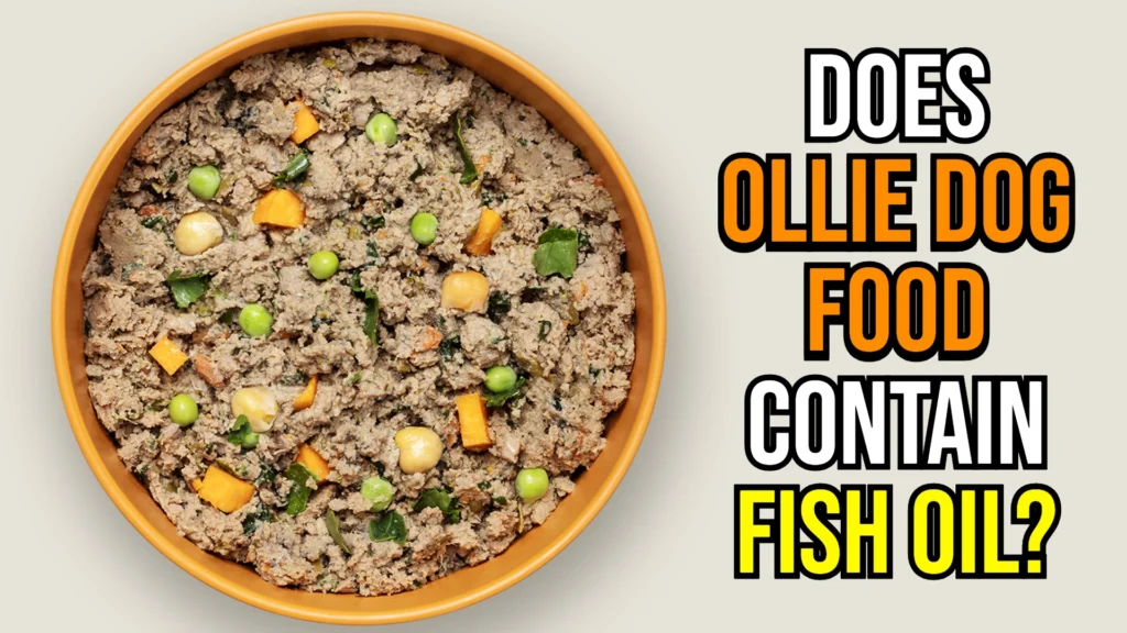 does-ollie-dog-food-contain-fish-oil-quick-answer