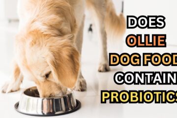 does-ollie-dog-food-contain-probiotics