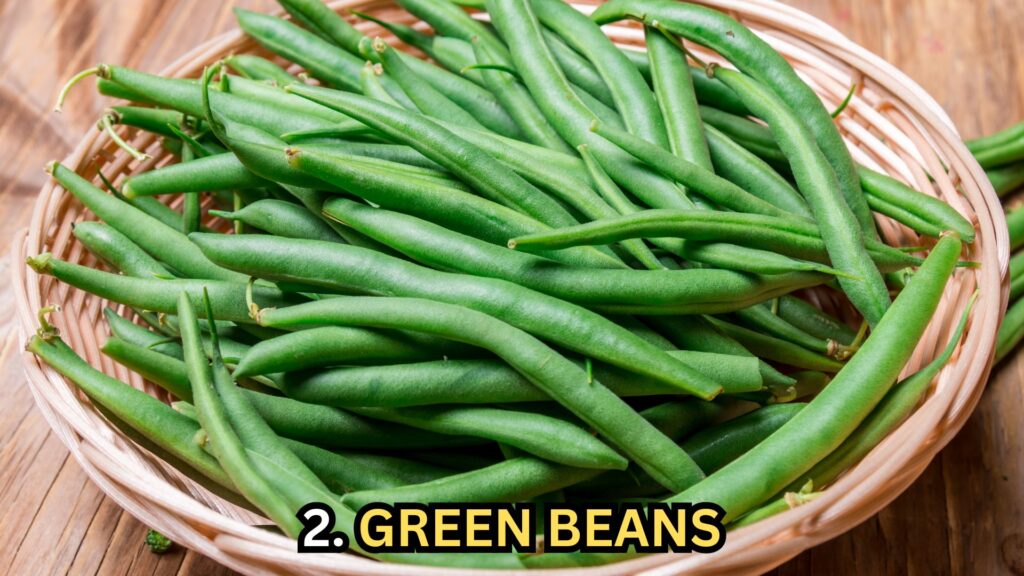 green-beans-for-dogs