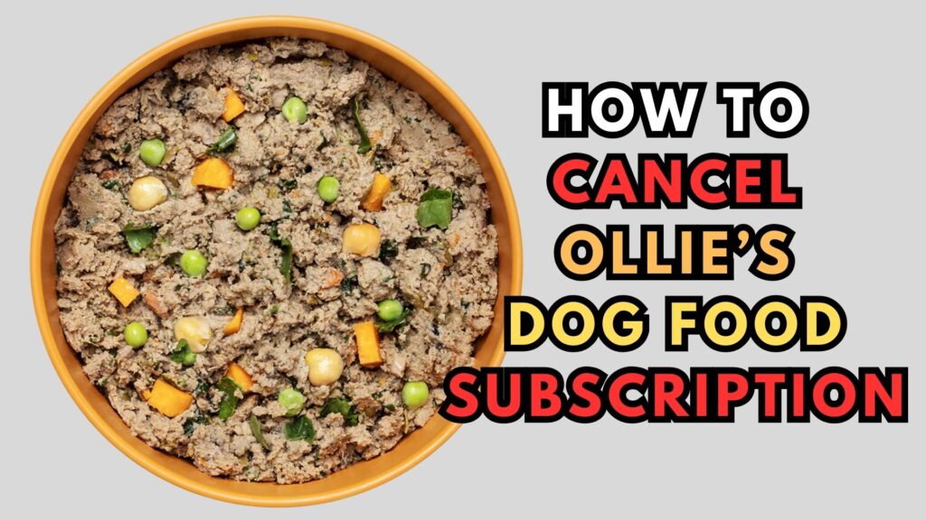 how-to-cancel-ollie-dog-food-subscription