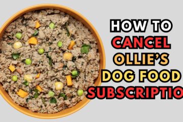 how-to-cancel-ollie-dog-food-subscription