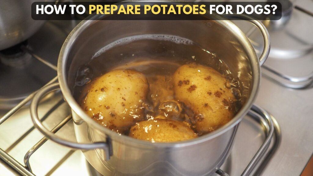 how-to-prepare-potatoes-for-dogs