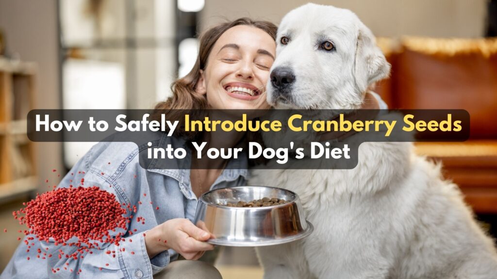how-to-safely-introduce-cranberry-seeds-into-your-dogs-diet