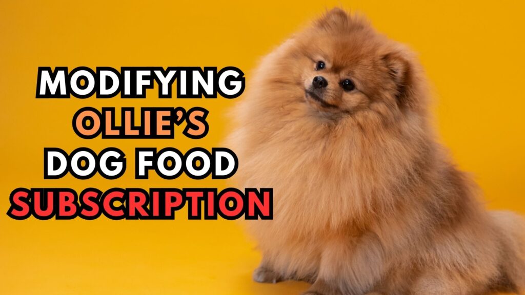 modifying-ollie-dog-food-subscription