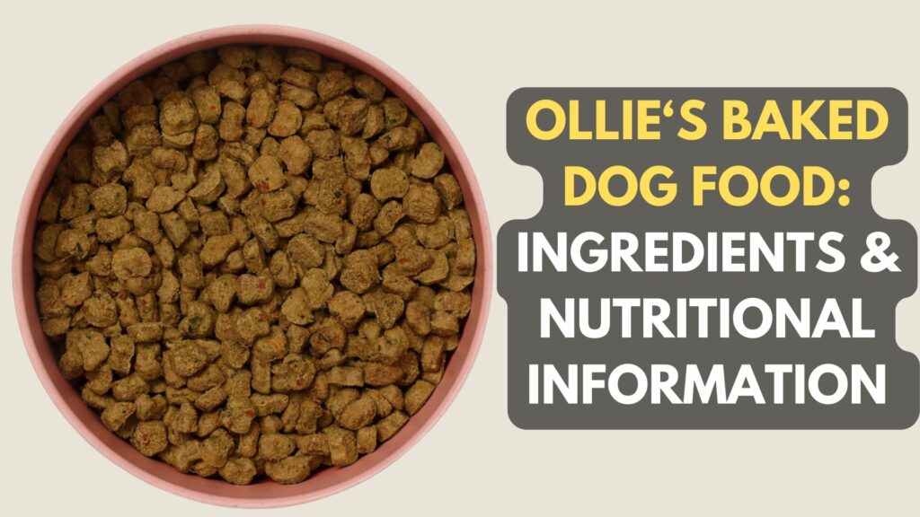 ollie-baked-dog-food-ingredients-and-nutritional-information