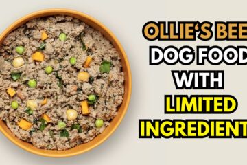 ollie-beef-dog-food-with-limited-ingredients