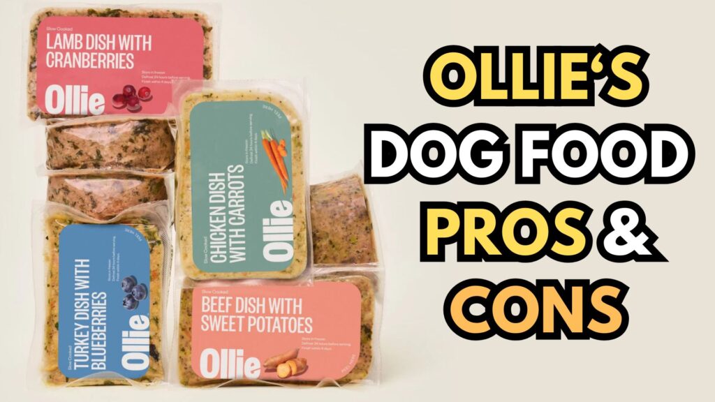 ollie-dog-food-pros-and-cons
