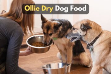 ollie-dry-dog-food