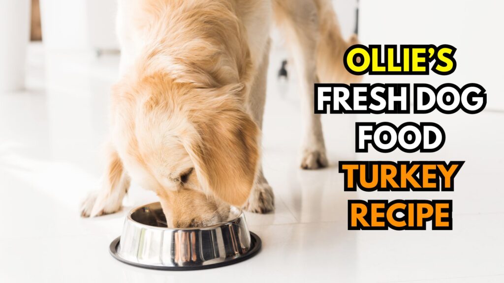 ollie-turkey-recipe-ingredients