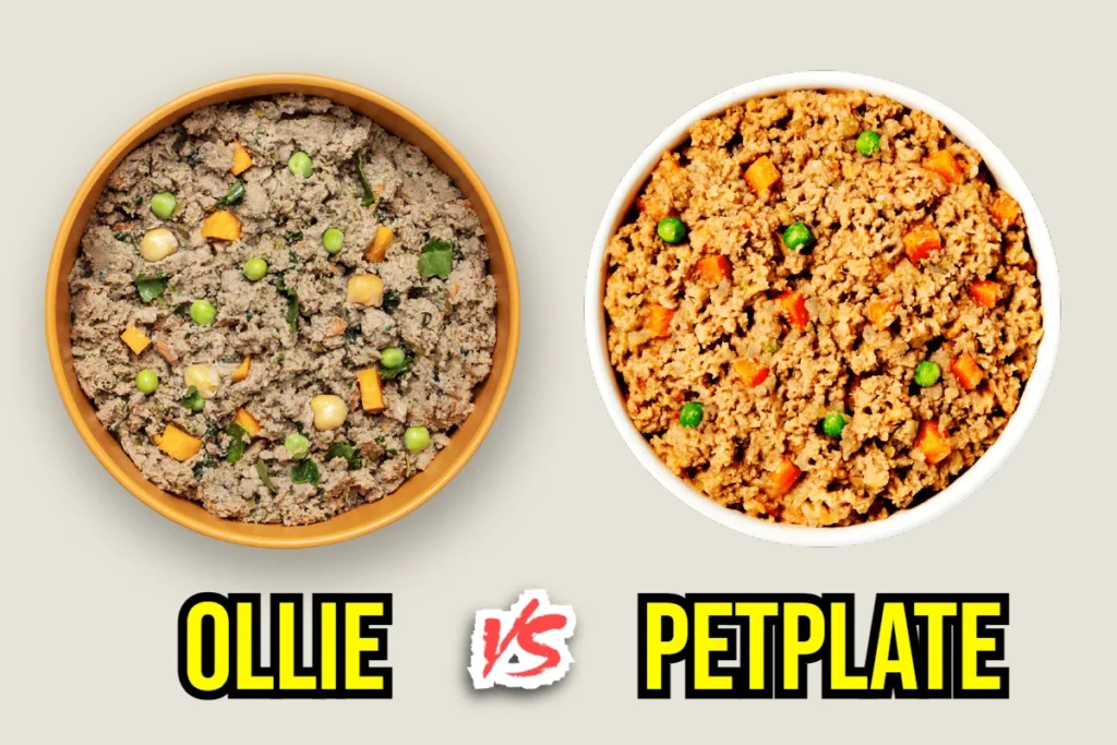 ollie-vs-petplate-dog-food-reviews