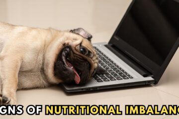 signs-of-nutritional-imbalance-in-dogs