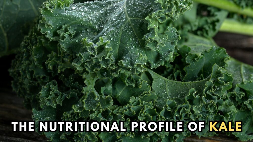 the-nutritional-profile-of-raw-kale-leaves